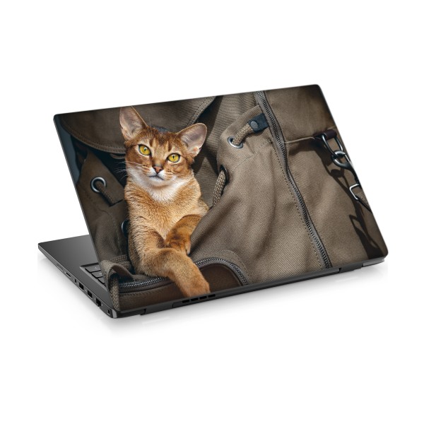 Sarı Kedi Laptop Sticker Notebook Dizüstü Kaplama Stickeri