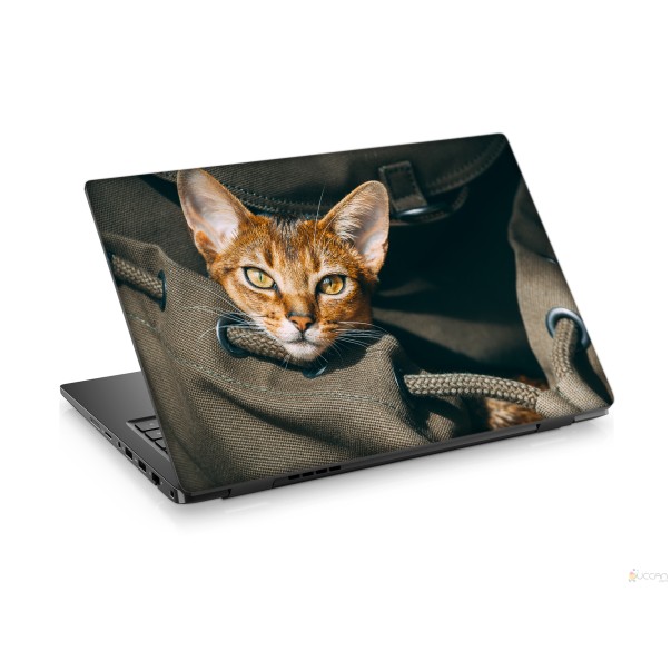 Yavru Sarı Kedi Laptop Sticker Notebook Dizüstü Kaplama Stickeri