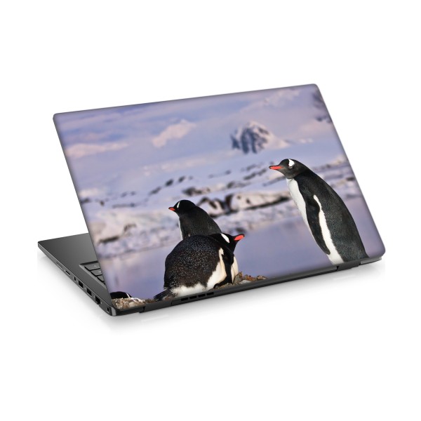 Penguenler-3 Laptop Sticker Notebook Dizüstü Kaplama Stickeri