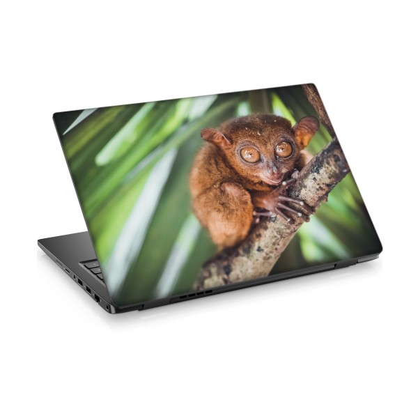 Tarsier Laptop Sticker Notebook Dizüstü Kaplama Stickeri